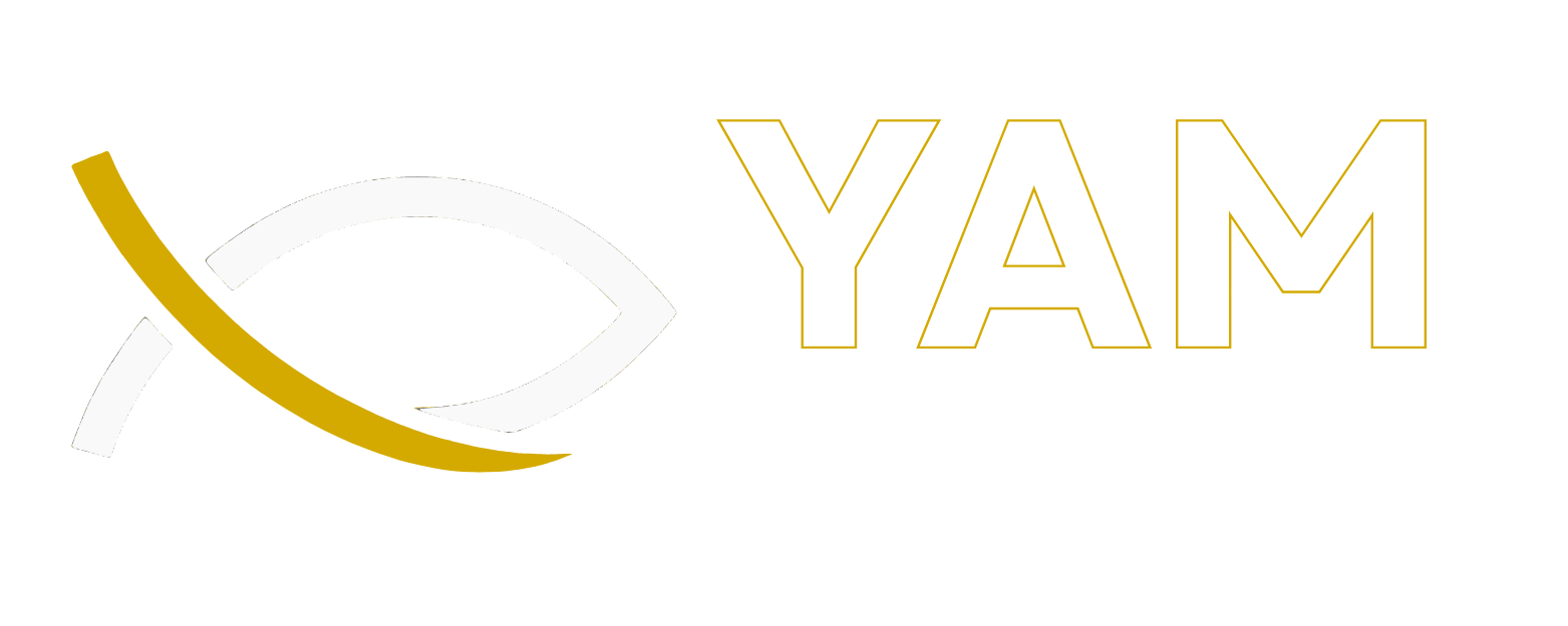 YAM Systems
